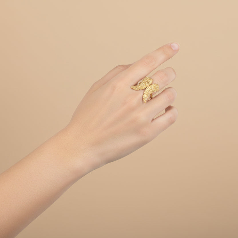 Anello Ali Roma