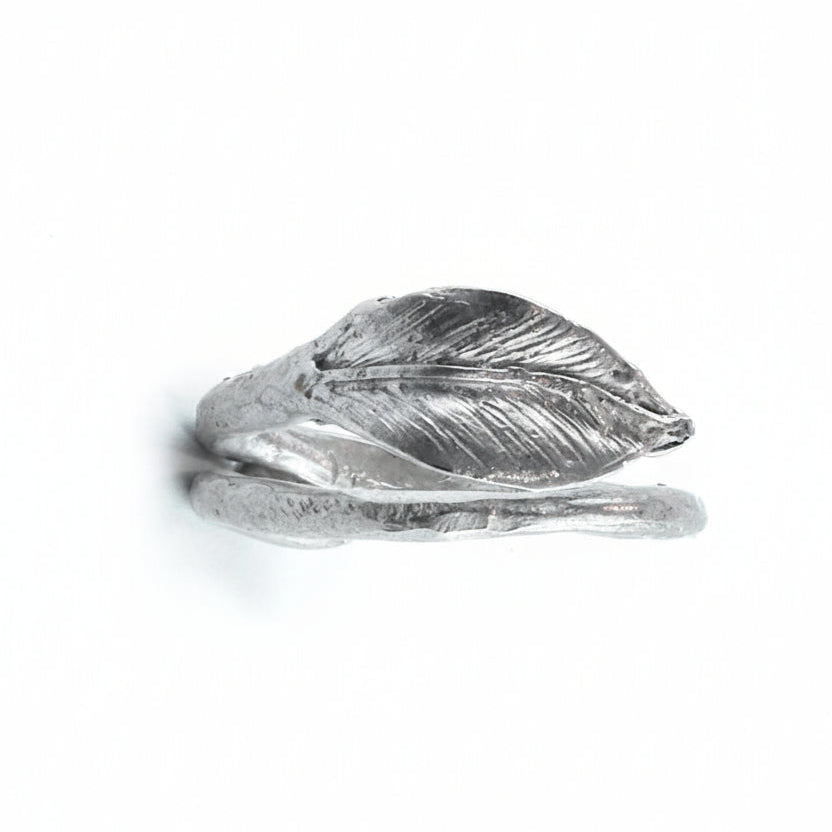 Anello Ficus