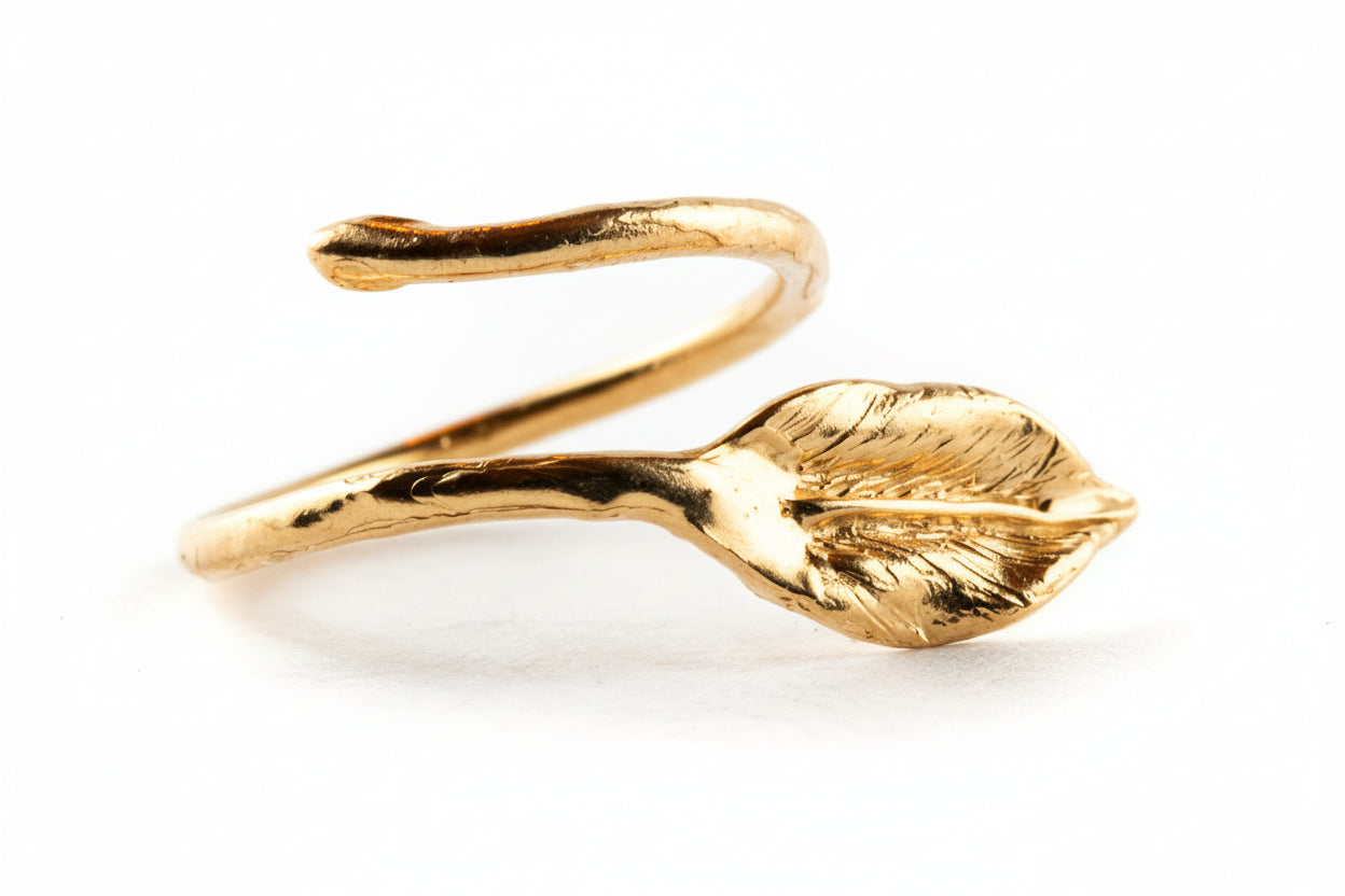 Anello Ficus
