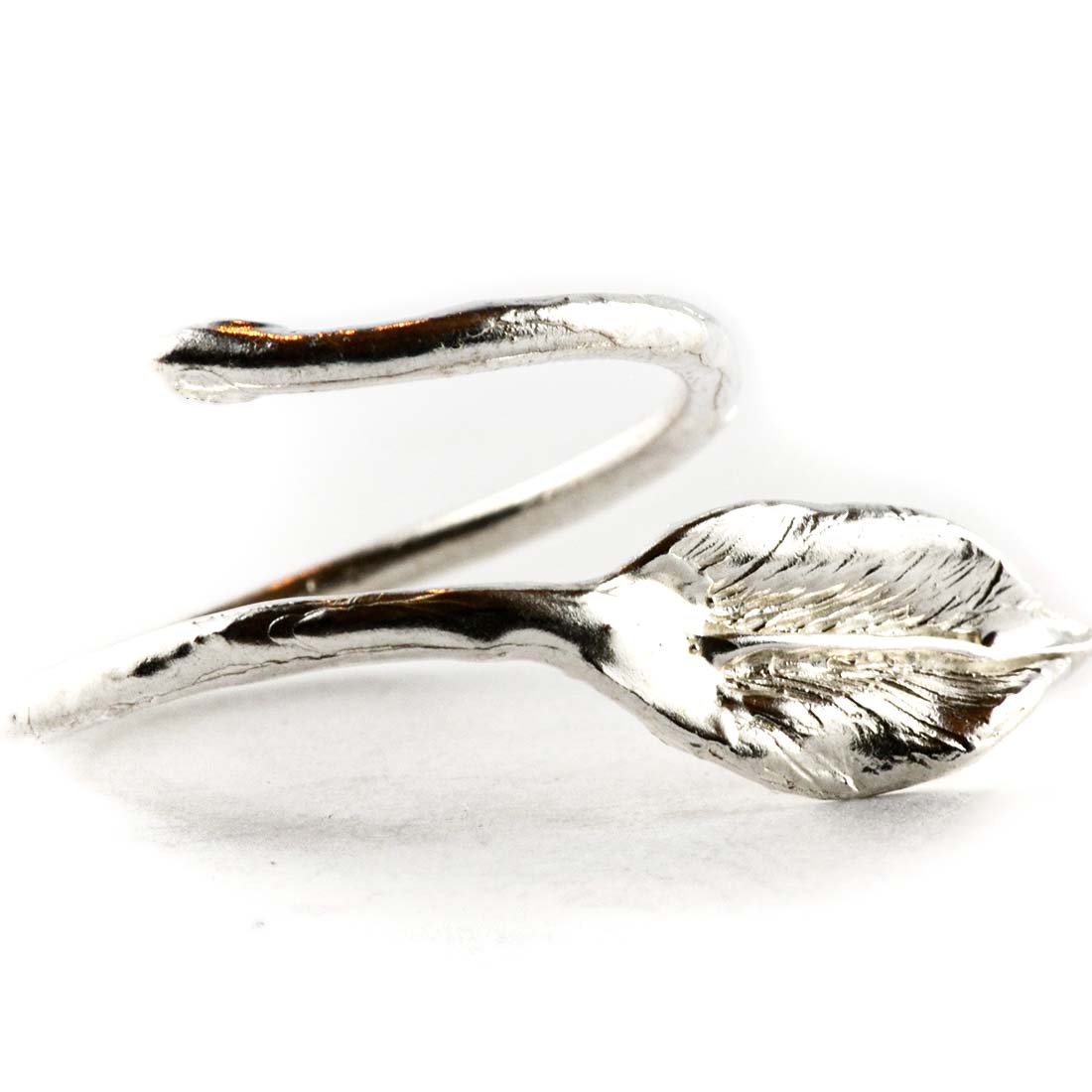 Anello Ficus