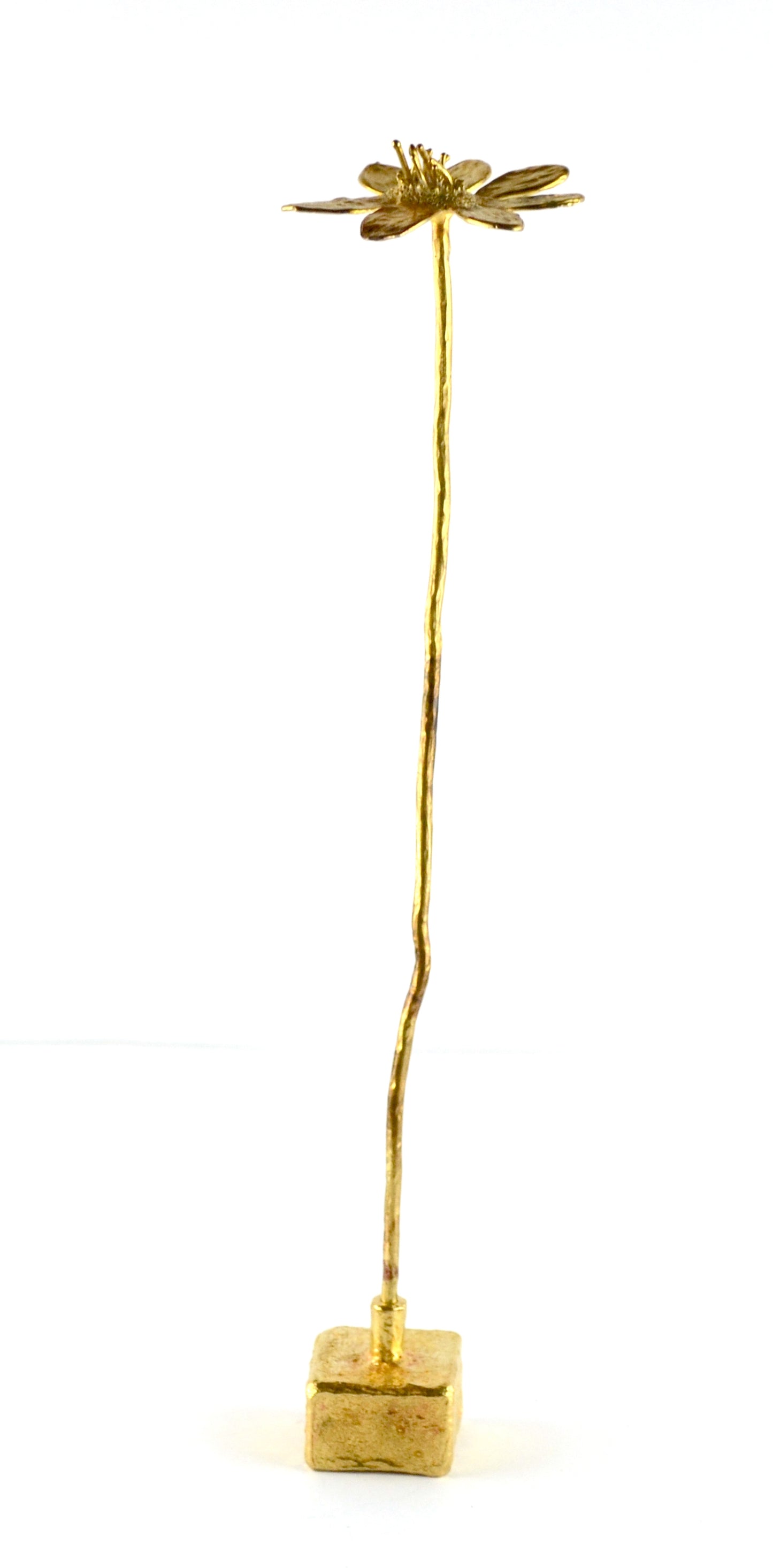 SEGNAPOSTO