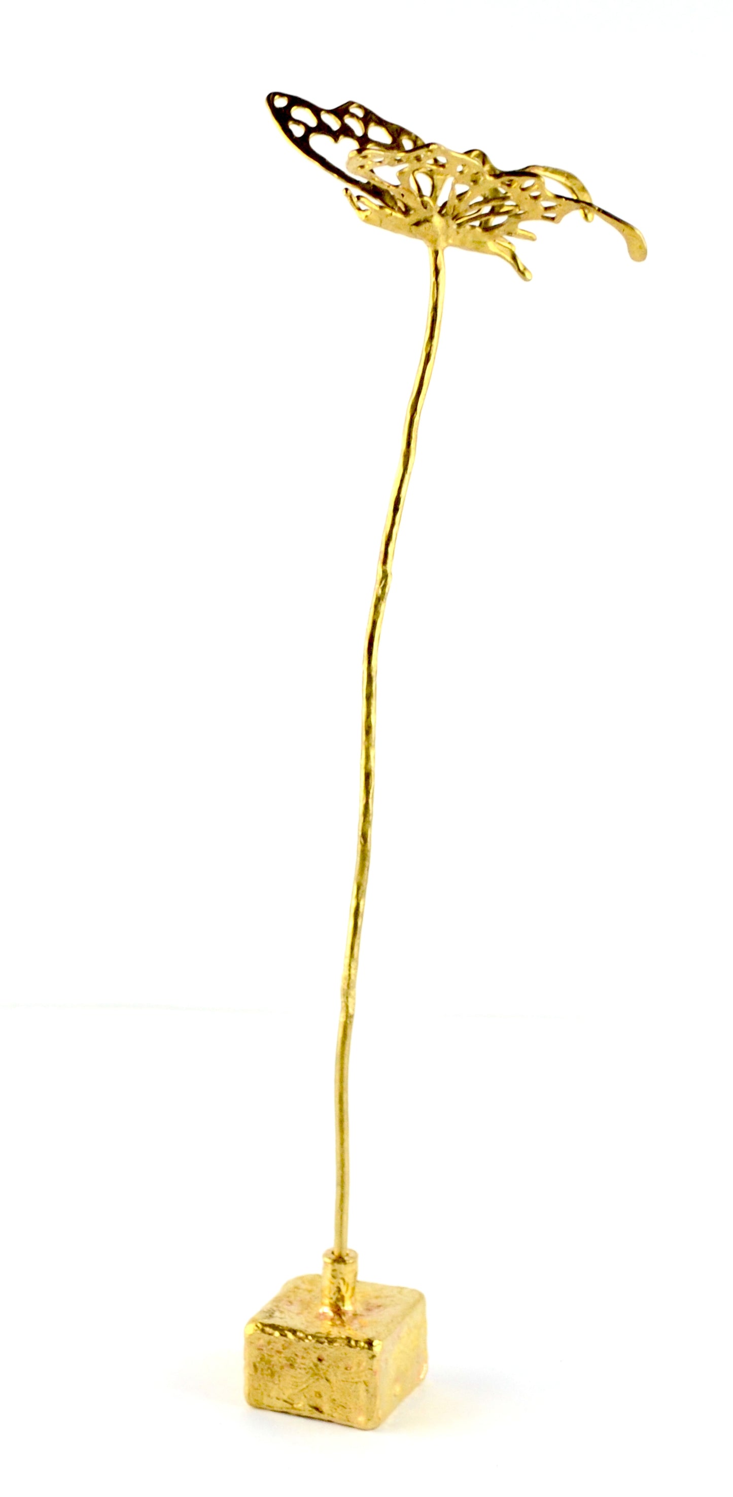 SEGNAPOSTO
