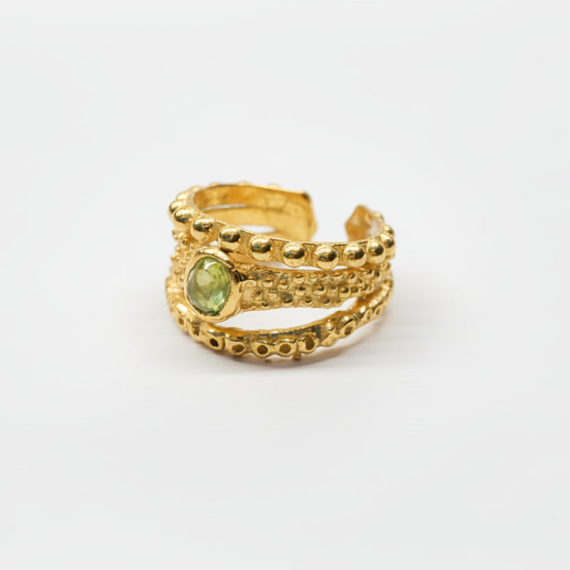 Anello Nuovo Rinascimento