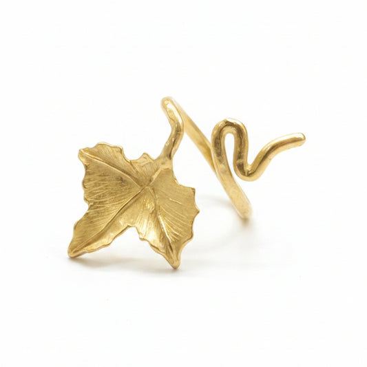 Anello Vite